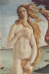 Birth of Venus, Venus