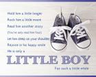 Little Boy Poem