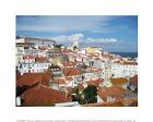 View on Alfama from Santa Luiza Mirador