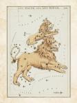 Leo Major and Leo Minor Constellation