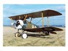 Sopwith F-1 Camel 2 USAF