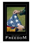 Freedom Affirmation Poster, USAF