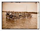 Hawaiian Swimmers at Potomac Tidal Basin