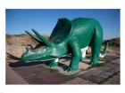 Triceratops Sculpture