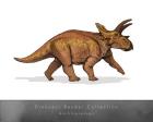 Anchiceratops