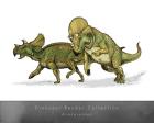 Avaceratops