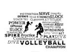 Volleyball Text