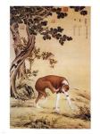 Ten Prized Dogs Chinese Greyhound