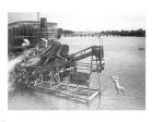 The diving horse at the Hanlan's Point Amusement Park, Toronto, Canada.