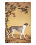 Greyhound by Bamboo