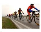 Military Cyclists in pace line