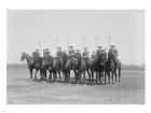 Police Show Polo Team