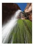 Lower Ribbon Falls off the North Kaibab Trail in the Grand Canyon