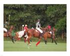 Polo Umpire