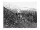 People on horseback, on trail, Van Trump Park, Mt. Rainier National Park, Washington