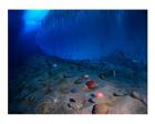 Ice Wall and the Ocean Floor at Explorer's Cover