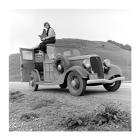 Dorothea Lange, 1936