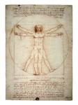 Vitruvian Man