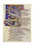 Psalm 136,  Initial S In Albani Psalter