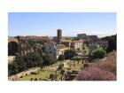 Look from Palatine Hill Francesca Romana, Arch of Titus and Colosseum, Rome, Italy