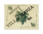 Casteletes label wine, Villa Maria