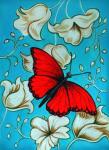 Aqua-Red Butterfly