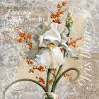 White Iris Fantasy