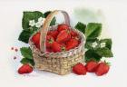 Basket Of Strawberries