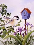 Chickadees And Iris