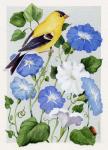 Goldfinch And Morning Glories