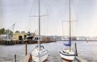 Sailboats At Dock