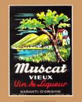 Muscat Vieux