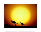 Jumping Kangaroos Under Australian Sunset