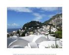 Capri White Roof