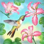 Bahama Woodstar In Orchid Tree