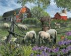 Pleasant Valley Sheep Farm