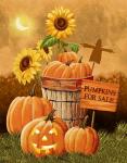 Pumpkins for Sale