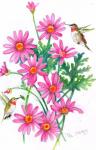 Hummingbirds And Daisies