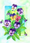 Perky Pansies