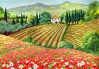 Tuscany Terrain