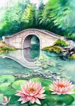 Waterlily Garden