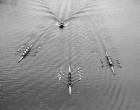 1950s Aerial View Of Rowing Competition