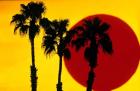 1990S 3 Silhouetted Palm Trees