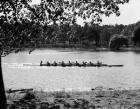 1930s Silhouette Sculling Boat Race