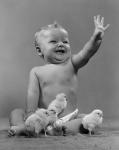 1950s Laughing Baby Surrounded By Little Baby Chicks