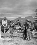 1930s Cowboys & A Woman Grooming A Horse