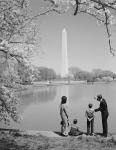 Family At Washington Monument Amid Cherry Blossoms