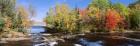 Trees Near A River, Bog River, New York State