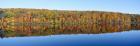 Trees along a lake, Lake Hamilton, Massachusetts