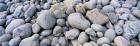 Beach Rocks Acadia National Park